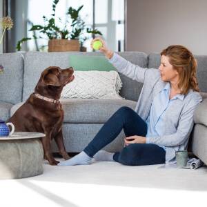 Pet Cleaning